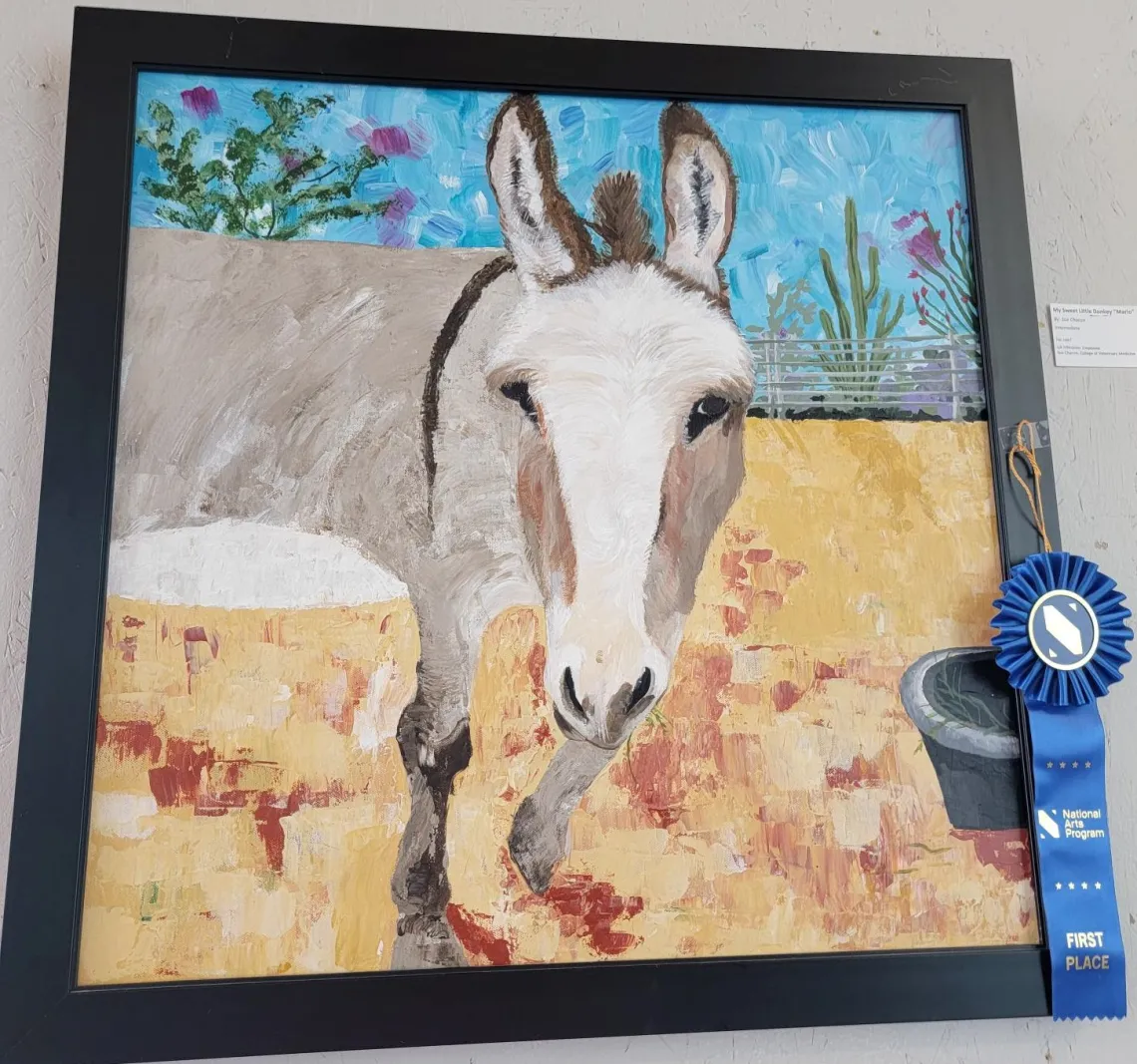 1st Intermediate_ _My Sweet Little Donkey, _Mario__ by Sue Chacon, College of Veterinary Medicine.jpg
