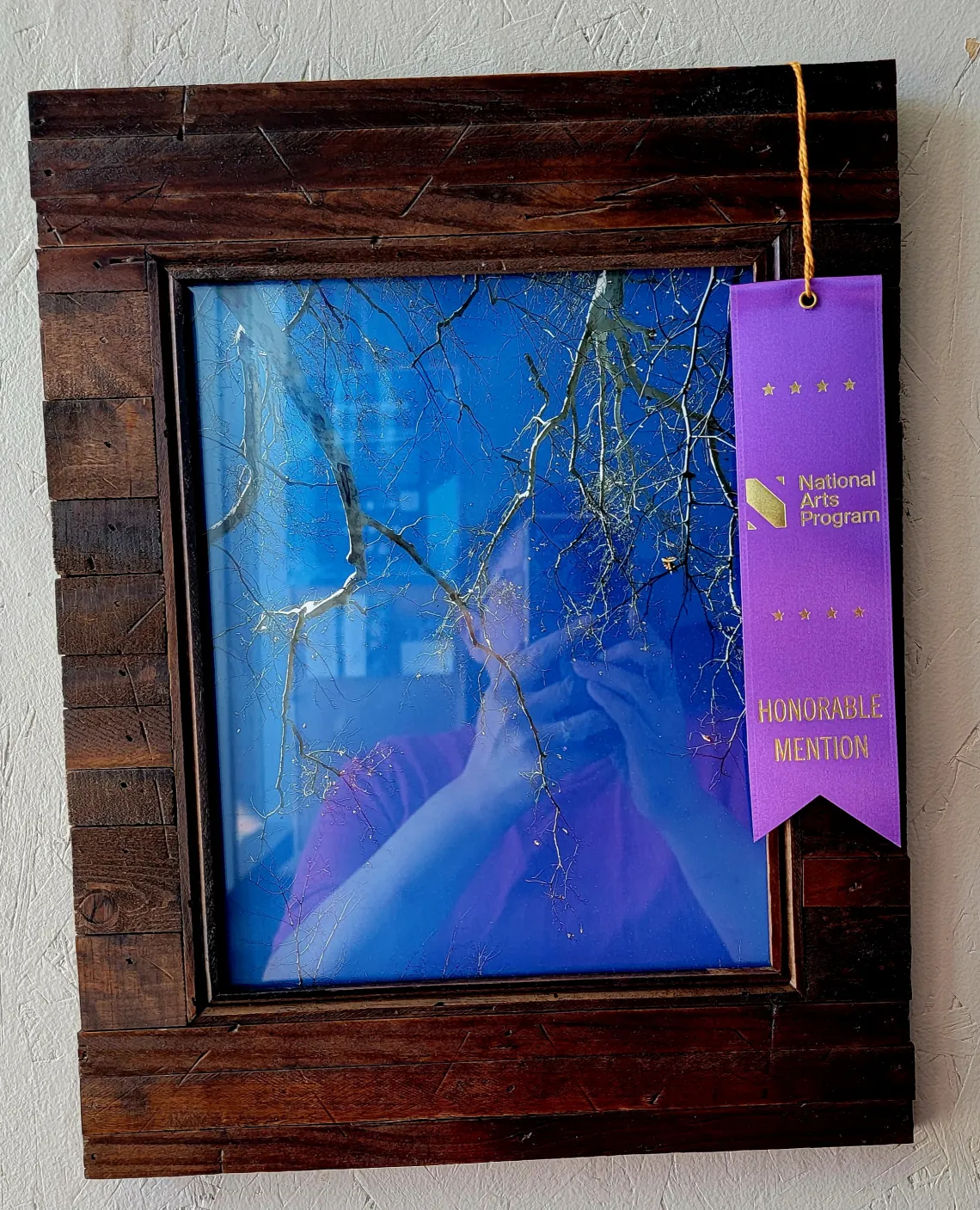 Honorable Mention_ _White Lightning_ by Pamela Wagner, FCM RISE HWC.jpg